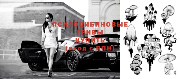 дживик Армянск